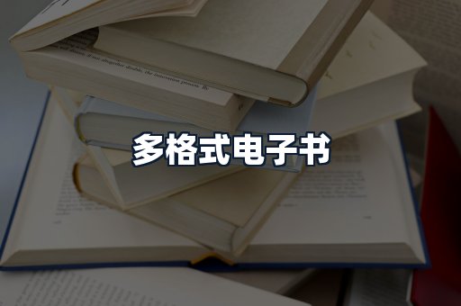 多格式电子书